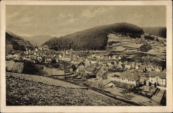 Ak Elmstein in der Pfalz, Panorama