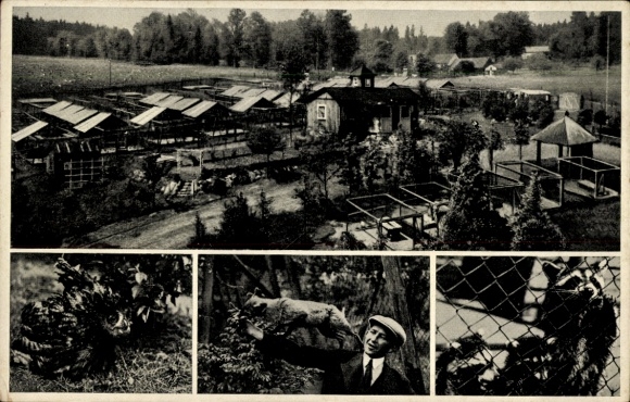 Postcard Isabellengrün Burgk in Thuringia, fur farm Saaletalsperre, animal park, owl, fox, raccoons