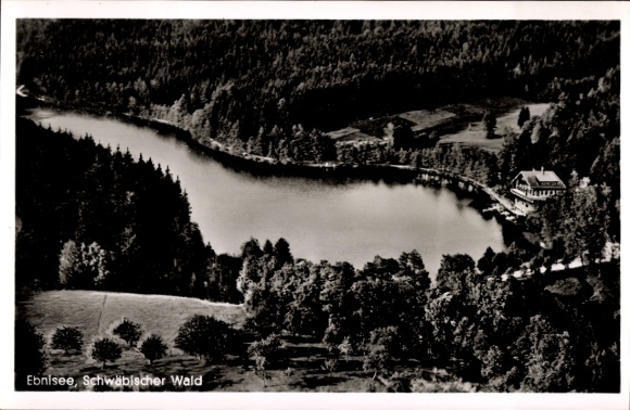 Ak Ebni Kaisersbach in Baden Württemberg, Ebnisee, Hotel Ebnisee, Fliegeraufnahme