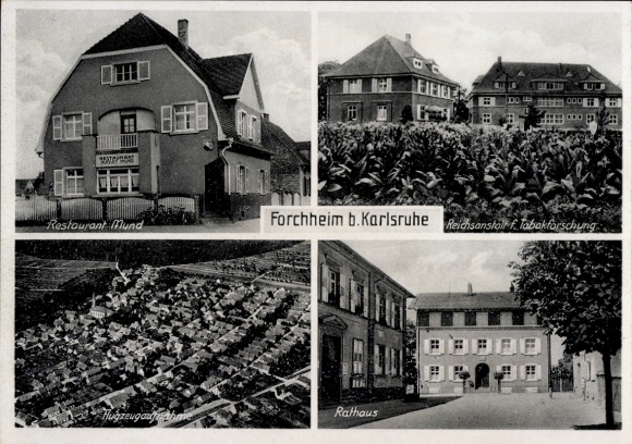 Postcard Forchheim (near Karlsruhe) Rheinstetten in Baden, Four Views: Restaurant Mund, Tobacco Research