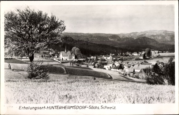 Ak Hinterhermsdorf Sebnitz, uitzicht op de stad, kerk, velden