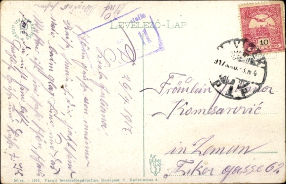 Postcard Novi Sad Újvidék Neusatz Serbia, Kossuth Lajos-utca, tram
