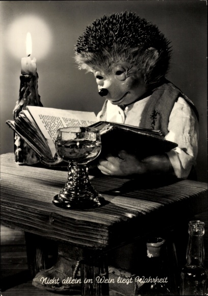 Postcard Mecki the hedgehog reads a book, truth is not only found in wine