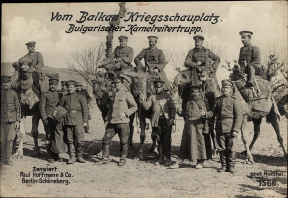 Postcard Balkan Theater of War, Bulgarian Camel Riders, WWI