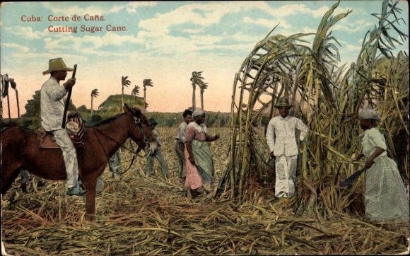 Postcard Kuba, people at the sugar cane harvest