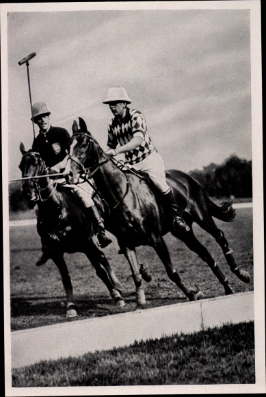 Collection picture Olympia 1936, polo fight
