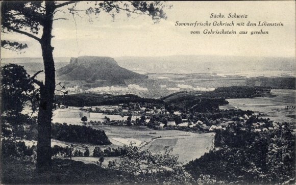 Postcard Gohrisch Saxon Switzerland, panorama seen from Gohrischstein, Lilienstein
