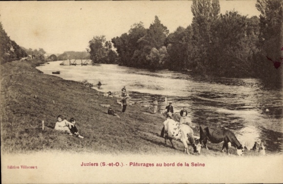 Postcard Juziers-Yvelines, pastures on the banks of the Seine