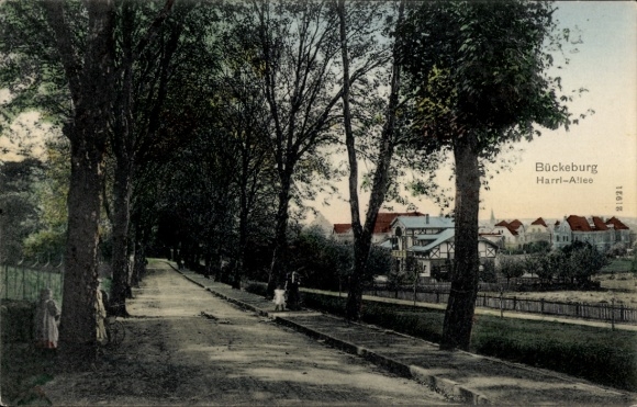 Postcard Bückeburg Kreis Schaumburg Lower Saxony, Harrlallee, partial view of the town