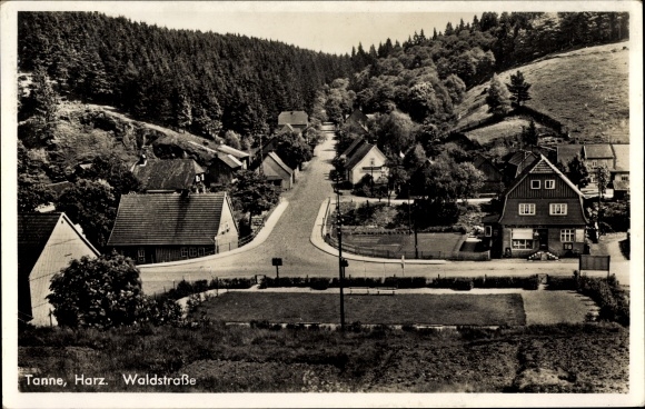 Postcard Tanne Oberharz am Brocken, Waldstrasse