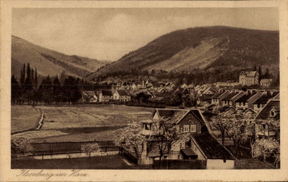 Ilsenburg in the Harz Mountains, partial view