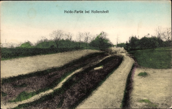 Postcard Hollenstedt in Lower Saxony, heath area, landscape, trees, path
