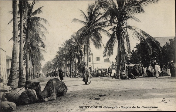 Postcard Saint Louis Senegal, rest of the caravan