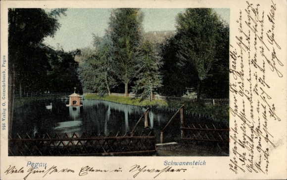 Postcard Pegau in Saxony, swan pond, nature, small wooden bridge, trees, calm water