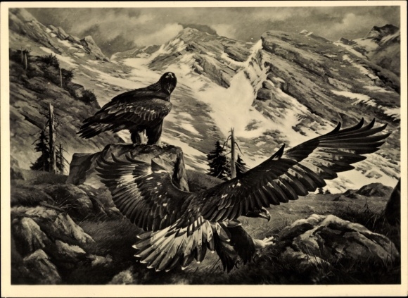 Artist PC Kiefer, Michael, golden eagle, mountains, HDK 524