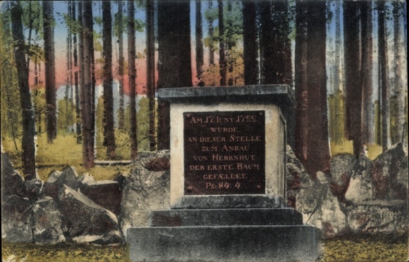 Ak Herrnhut in der Oberlausitz Sachsen, Gedenktafel, erste Baumsetzung, Wald, alte Tafel, Grab...