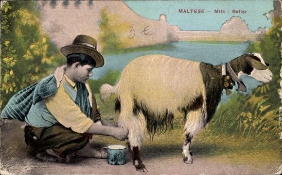 Postcard Malta, man milking a goat, milk seller