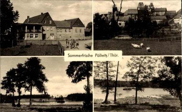 Ak Pöllwitz Zeulenroda Thüringen, Reußischer Hof, Gänse, See