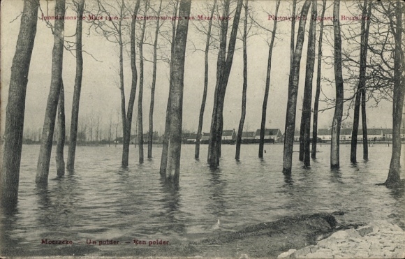 Postcard Bruxelles Brussels, Floods, Un polder