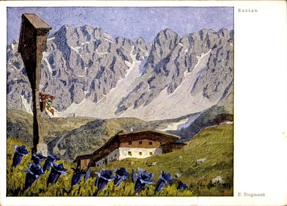 Künstler Ak Stegmann, Erich, Enzian