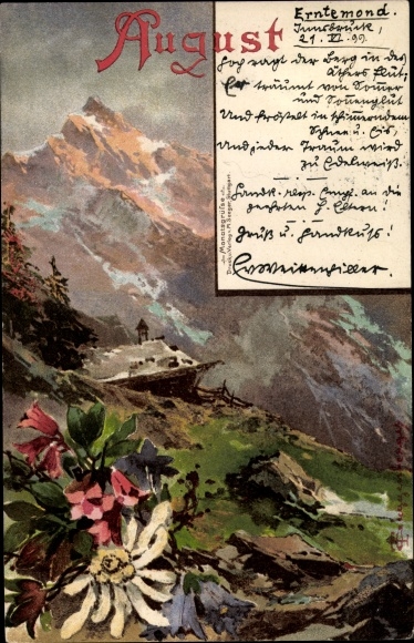 Artist Chromo-Litho Guggenberger, month of August, mountain landscape, mountain blossoms