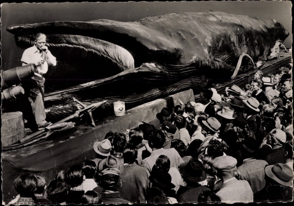 Postcard giant whale Jonas, caught whale, spectators