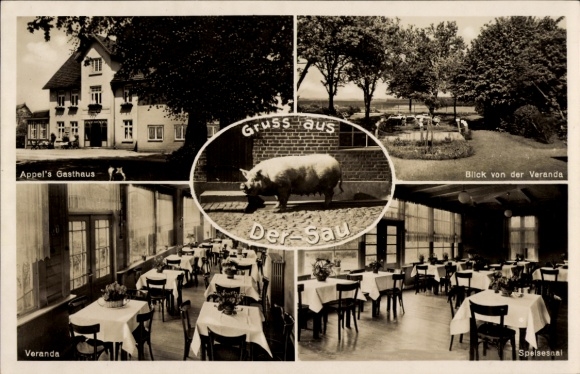 Ak Dersau im Plöner Land Holstein, Appel's Gasthaus, Veranda, Blick von der Veranda, Speisesaal, 