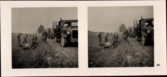 Stereo spatial image photo &quot;The soldiers of the Führer in the field&quot;, No. 82 passing streets, dead horse