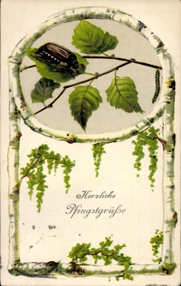 Postcard Congratulations Pentecost, Maybug, Birch