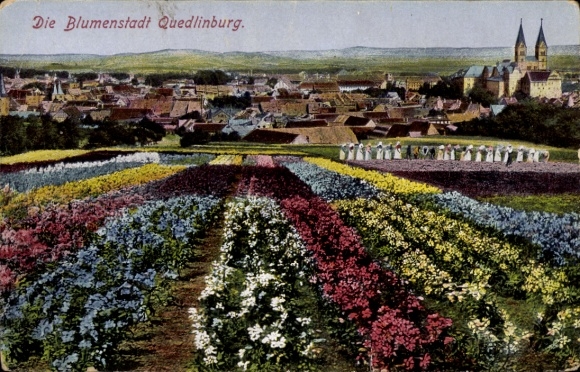 Postcard Quedlinburg im Harz, view of flower beds and the city
