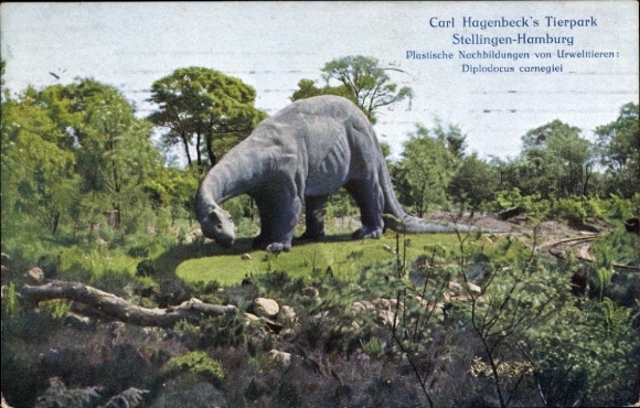Postcard Hamburg Eimsbüttel Stellingen, Carl Hagenbeck's Zoo, dinosaur, replica, Diplodocus