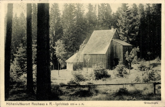 Ak Neuhaus am Rennweg Thüringen, Hölzerne Gebäude, Wald, Höhenluftkurort, 835 m