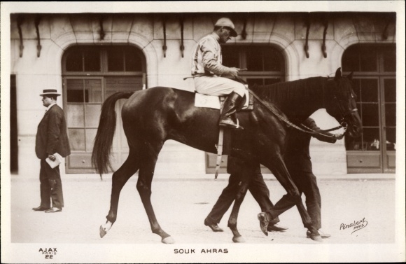 Ak Souk Ahras, Jockey auf einem Rennpferd