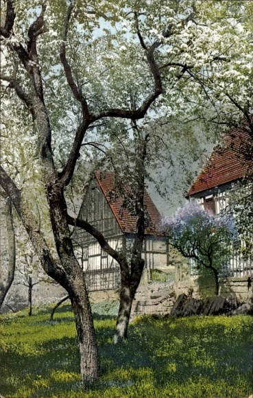 Postcard Nenke & Ostermaier Series 48 No. 1565, Tree Blossom, Loschwitz
