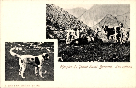 Postcard Canton of Valais, Hospice du Grand St-Bernard