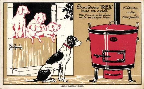 Artist Postcard Buanderie Rex tout en acier, Assure votre tranquillité