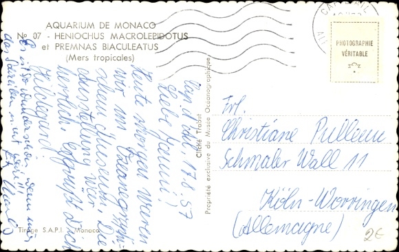 Postcard Monaco, Aquarium, Fische, Heniochus Macrolepidotus, Premnas Biaculeatus