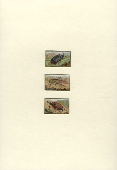 3 wafers / glossy pictures beetles and grasshoppers, each approx. 3 x 4.5 cm