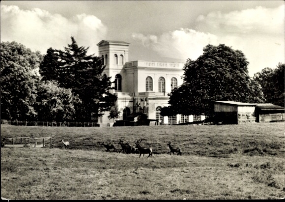 Postcard Putbus on the island of Rügen, zoo, building, meadow, animals, trees, clouds