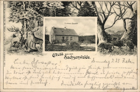 Passepartout Postcard Springe am Deister, Forsthaus Saupark in Sachsenwald