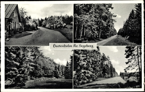 PC Hartenholm Schleswig Holstein, forest lot