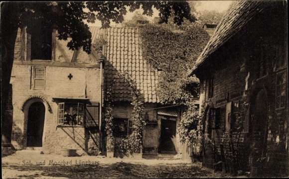 Ak Lüneburg in Nedersaksen, Rode Haan