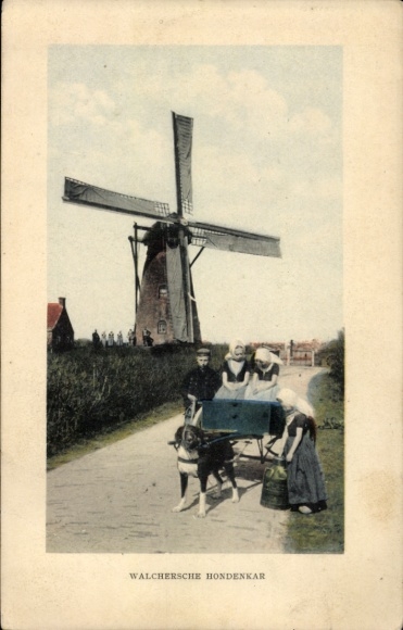 Ak Niederlande, Walchersche Hondenkar, Hundekarren, Windmühle