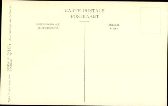 Artist Postcard Dupond, Hub., Buteo buteo, common buzzard