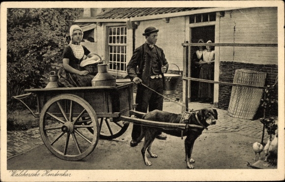 Ak Walcheren Zeeland, Hundekarren, Frauen in Tracht