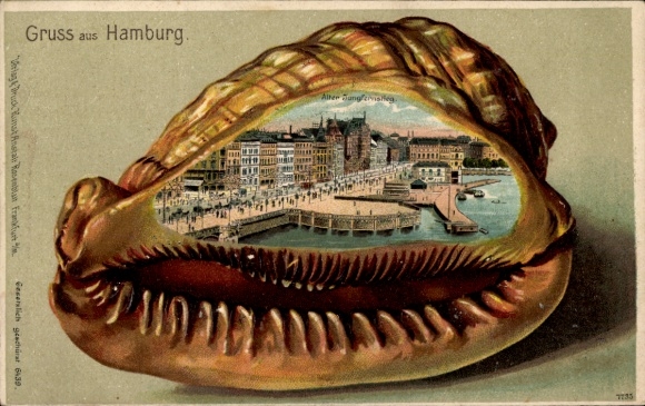Tłoczona muszla lito Hamburg Mitte Neustadt, Jungfernstieg