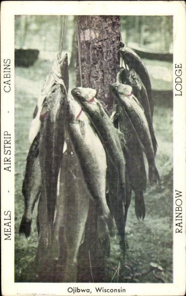 Ak Ojibwa Wisconsin USA, vis, vissen