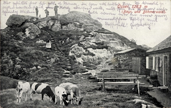 Postcard Lam in the Bavarian Forest Upper Palatinate, Osser, Osserschutzhaus