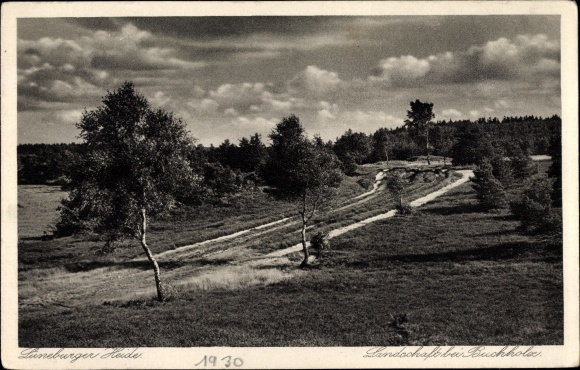 PC Buchholz an der Aller, Lüneburg Heath, landscape