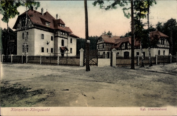 Ak Dresden Klotzsche Königswald, Koninklijk Bureau voor Bosbouw
